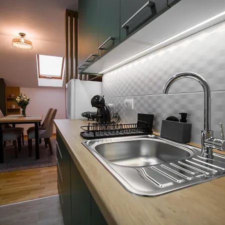 View 44 * 아란젤로바츠